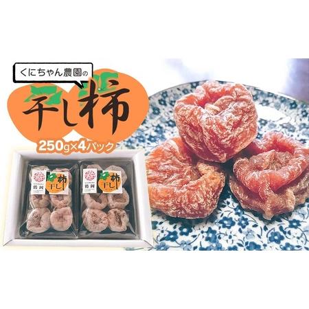 ふるさと納税 【令和8年発送】 干し柿 250g × 4パック  (1kg)　山形県鶴岡市 くにちゃ...