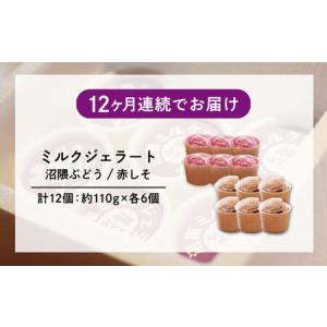ふるさと納税 【全12回定期便】沼南ミルクジェ...の詳細画像4