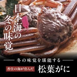 ふるさと納税 カネニの浜茹で柴山がに 1.1k...の詳細画像1