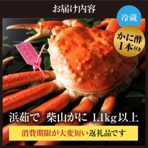 ふるさと納税 カネニの浜茹で柴山がに 1.1k...の詳細画像3