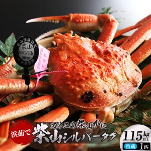 ふるさと納税 カネニ 浜茹で 柴山がに 柴山シルバータグ付き ボイル後1.15kg以上 冷蔵【令和8年11月中旬以降発送予定】 高級 かに カニ 06-23 兵庫県香美町