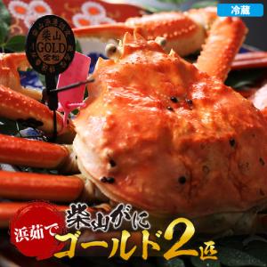ふるさと納税 浜茹で 柴山ゴールド 柴山がに ゴールドタグ付きが一度に2匹も揃う奇跡 冷蔵 【令和8年11月中旬以降発送予定】 高級 かに カニ 06.. 兵庫県香美町