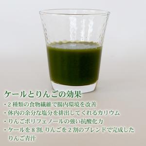 ふるさと納税 【6回定期便】【冷凍生】りんご青...の詳細画像2
