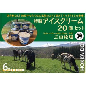 ふるさと納税 【6ヵ月定期便】アイス 三田牧場 特製 アイスクリーム 4種類 20個 セット ミルク チョコレート いちごミルク ラムレーズン お菓子 .. 北海道共和町