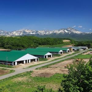 ふるさと納税 牛肉 かみふらの和牛 A5等級 ...の詳細画像4