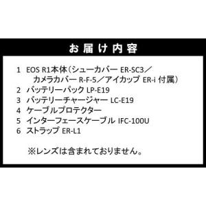 ふるさと納税 【Canon】 キヤノン ミラー...の詳細画像4