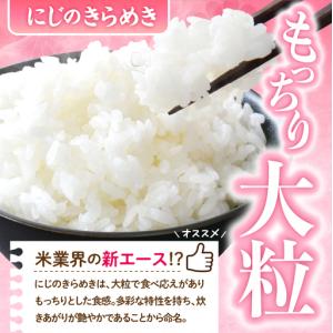 ふるさと納税 2027年1月発送 群馬県千代田...の詳細画像2