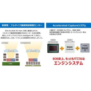ふるさと納税 【Canon】 キヤノン ミラー...の詳細画像2