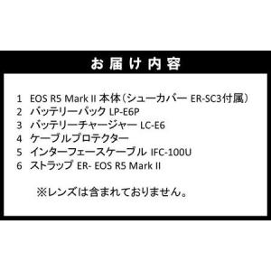 ふるさと納税 【Canon】 キヤノン ミラー...の詳細画像4