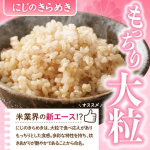 ふるさと納税 2027年3月発送 群馬県千代田...の詳細画像3