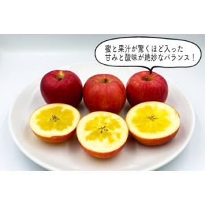 ふるさと納税 【2026年発送】山形のりんご(...の詳細画像1