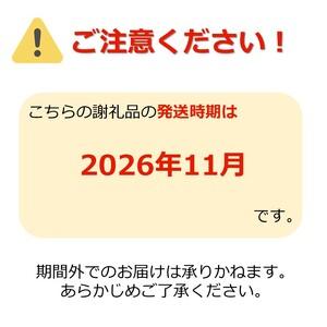 ふるさと納税 【2026年発送】山形のりんご(...の詳細画像3