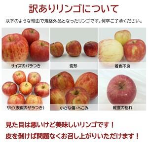 ふるさと納税 【2026年発送】ご家庭用訳あり...の詳細画像2