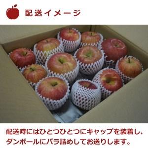 ふるさと納税 【2026年発送】ご家庭用訳あり...の詳細画像3