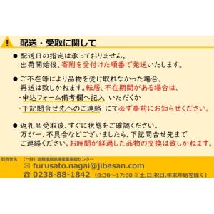 ふるさと納税 【2026年発送】ご家庭用訳あり...の詳細画像4