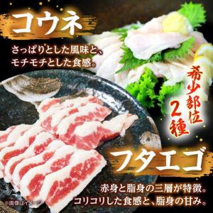 ふるさと納税 令和8年熊本地震復興支援 馬刺し...の詳細画像2