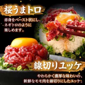 ふるさと納税 令和8年熊本地震復興支援 馬刺し...の詳細画像3