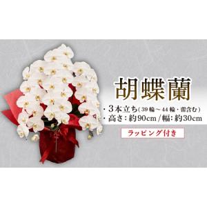 ふるさと納税 胡蝶蘭 3本立ち ラッピング付き 開花輪30輪以上 花 花 花 花 千葉県旭市