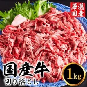 ふるさと納税 010AA08N.いちかわ精肉店「国産牛切り落とし」１ｋｇ／堀田畜産 いちかわ精肉店 赤身 ヘルシー 牛肉 国産 bbq バーベキュー 焼肉 .. 兵庫県市川町