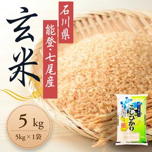 ふるさと納税 【発送時期が選べる】新米 令和7年産 石川県能登産 こしひかり 玄米5kg (5kg...