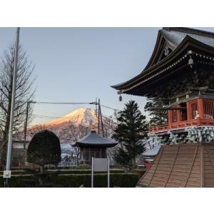 ふるさと納税 承天寺 忍野富士樹木葬永代供養 ...の詳細画像3