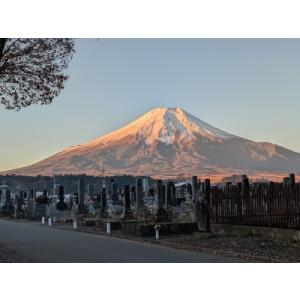 ふるさと納税 承天寺 忍野富士樹木葬永代供養 ...の詳細画像4