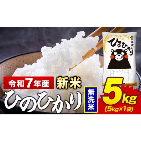 ふるさと納税 新米 令和7年産 無洗米 米 ひのひかり 5kg《12月中旬-2月末頃出荷》熊本県 菊...