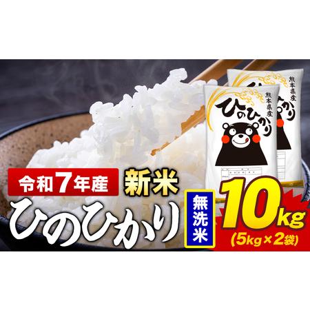 ふるさと納税 新米 令和7年産 ひのひかり 無洗米 10kg《12月中旬-2月末頃出荷》熊本県 菊池...
