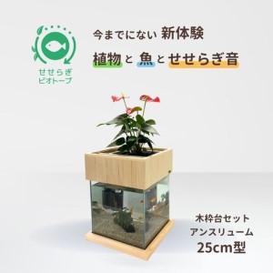 ふるさと納税 せせらぎビオトープ　25cm型基本＋木枠台セット（アンスリウム） 広島県東広島市