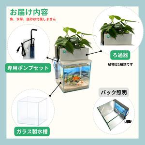 ふるさと納税 せせらぎビオトープ 25cm型基...の詳細画像1
