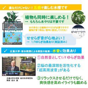 ふるさと納税 せせらぎビオトープ 25cm型基...の詳細画像4