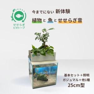 ふるさと納税 せせらぎビオトープ　25cm型基本＋照明セット（ガジュマル＋他1種） 広島県東広島市