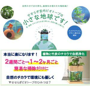 ふるさと納税 せせらぎビオトープ 25cm型照...の詳細画像2