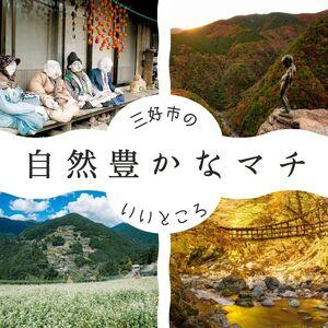 ふるさと納税 金の胡麻 麦茶 22袋 3パック...の詳細画像3