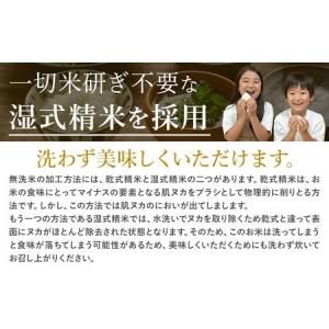 ふるさと納税 【12ヶ月定期便】阿蘇びより 白...の詳細画像2