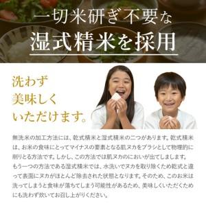 ふるさと納税 【12ヶ月定期便】阿蘇びより 白...の詳細画像2