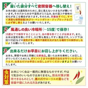 ふるさと納税 【12ヶ月定期便】阿蘇びより 白...の詳細画像4