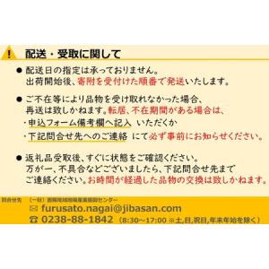 ふるさと納税 【2026年発送】安部ぶどう園の...の詳細画像3