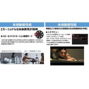 ふるさと納税 【Canon】 キヤノン ミラー...の詳細画像2