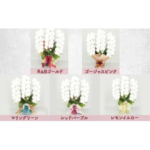 ふるさと納税 胡蝶蘭白花大輪3本立てギフト胡蝶...の詳細画像3