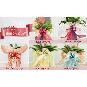 ふるさと納税 胡蝶蘭白花大輪3本立てギフト胡蝶...の詳細画像2