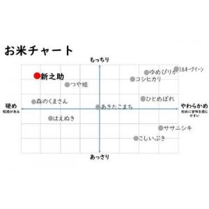ふるさと納税 新米先行予約【令和8年産米・3ヶ...の詳細画像2