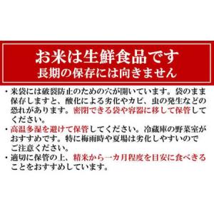 ふるさと納税 新米先行予約【令和8年産米・3ヶ...の詳細画像4