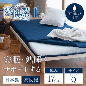 ふるさと納税 高反発寝具 ブレスエアーR製ベッド...の商品画像