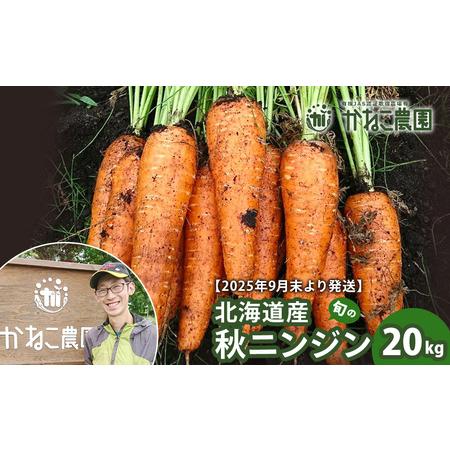 ふるさと納税 【2026年9月末より発送】北海道産 旬の秋ニンジン 20kg 【かねこ農園】 北海道...