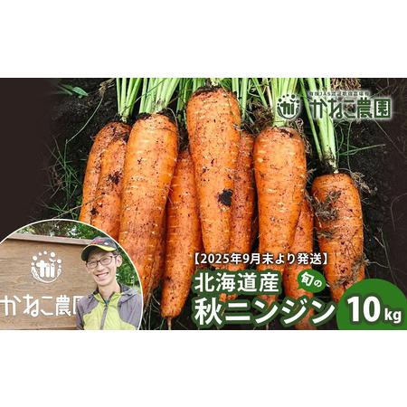 ふるさと納税 【2026年9月末より発送】北海道産 旬の秋ニンジン 10kg 【かねこ農園】 北海道...