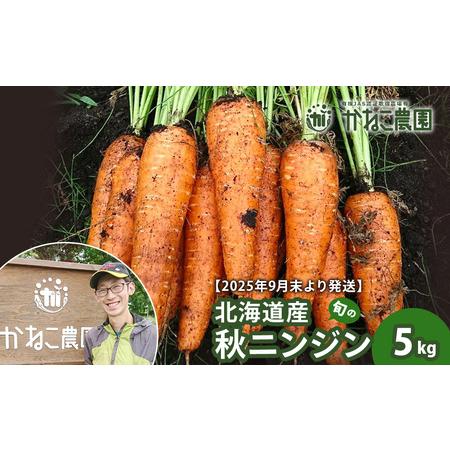 ふるさと納税 【2026年9月末より発送】北海道産 旬の秋ニンジン 5kg 【かねこ農園】 北海道千...