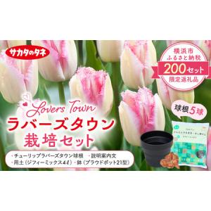 ふるさと納税 横浜限定チューリップ　ラバーズタウン栽培セット　株式会社サカタのタネ | 花 園芸 ガーデニング 庭 ベランダ 家庭 種苗 チュ.. 神奈川県横浜市