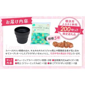 ふるさと納税 横浜限定チューリップ ラバーズタ...の詳細画像4