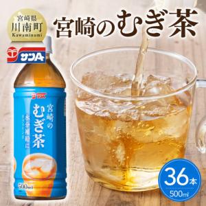 ふるさと納税 サンA 宮崎のむぎ茶 500ml PET 18本入り×2ケース【 お茶 麦茶 宮崎県産 ペットボトル 】 宮崎県川南町